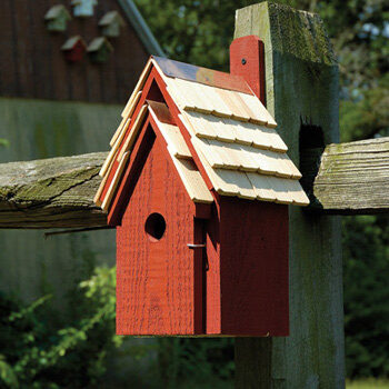 Bluebird Manor House - Yard Envy