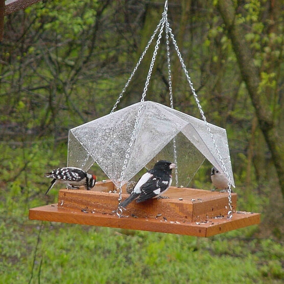 Super Tray with Clear Cover Bird Feeder