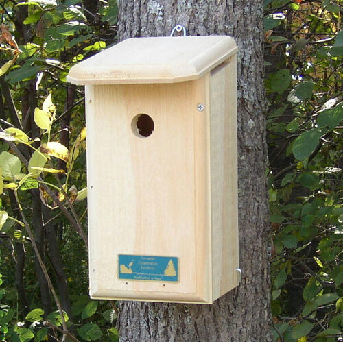 Chickadee Bird House - Yard Envy