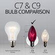C9 Light Bulb, Purple