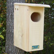 Small Wood Duck House