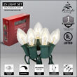 C9 Commercial String Lights, Twinkle Clear Bulbs