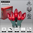 C9 Commercial String Lights, Red Bulbs