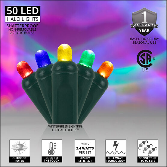 17' LED Halo Outdoor Party Lights, Multicolor, Green Wire