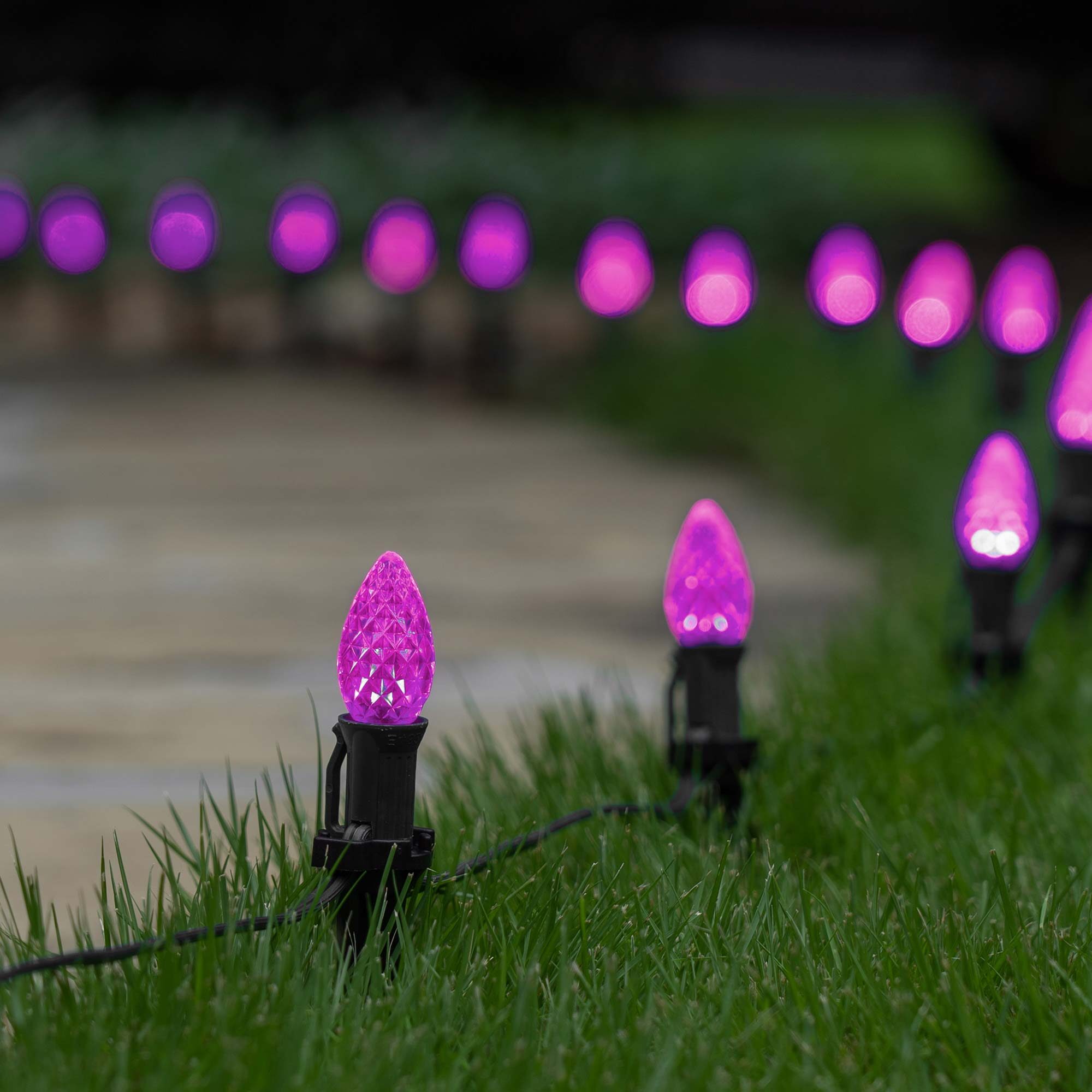 Pink Steel A Taste Of… 7” (81,Canada) C7 OptiCore<sup>®</sup> LED Light Bulbs, Pink - Yard Envy