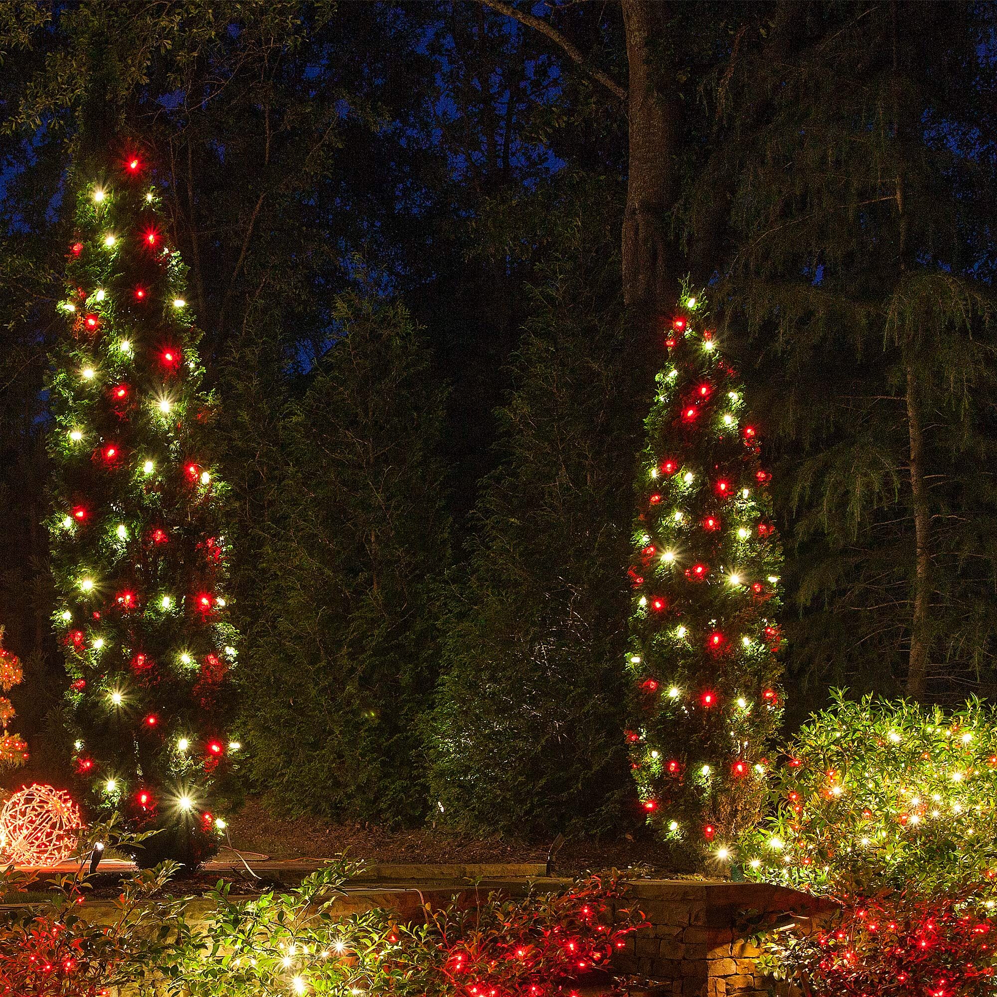 red and warm white christmas lights