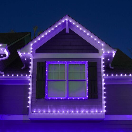 C9 LED Light Bulbs, Purple, by Kringle Traditions TM 
