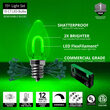 FlexFilament C7 Commercial Shatterproof Vintage LED String Lights, Green, 15 Lights, 15'