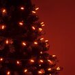 24' LED Mini String Lights, Amber, Green Wire