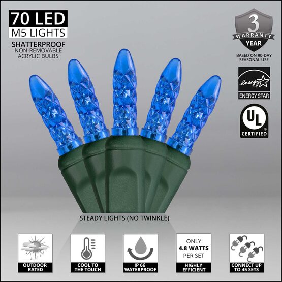 24' LED Mini String Lights, Blue, Green Wire