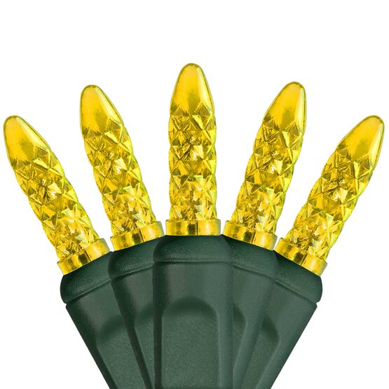 LED Mini String Lights, Multicolor, Green Wire Yard Envy