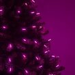 24' LED Mini String Lights, Pink, Green Wire
