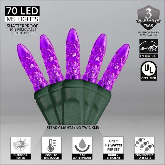 24' LED Mini String Lights, Purple, Green Wire