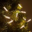17' LED Mini String Lights, Warm White, Green Wire