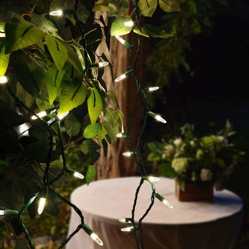 24' LED Mini String Lights, Warm White, Green Wire