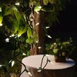 24' LED Mini String Lights, Warm White, Green Wire