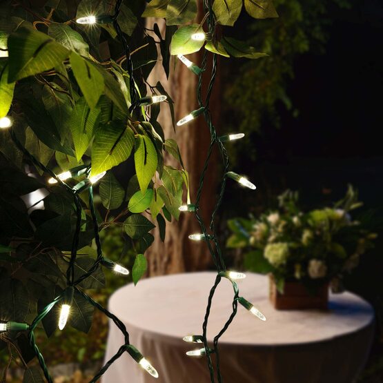 17' LED Mini String Lights, Warm White, Green Wire