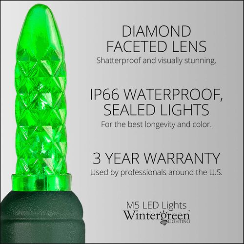 LED Mini String Lights, Green, Green Wire Yard Envy