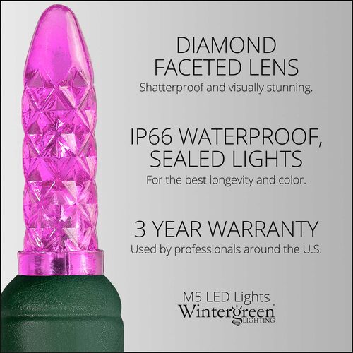 24' LED Mini String Lights, Pink, Green Wire
