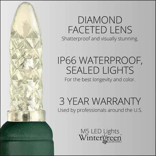 24' LED Mini String Lights, Warm White, Green Wire