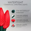 C9 Commercial LED String Lights, Red, Green Wire