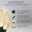 C9 Commercial LED String Lights, Warm White, Green Wire