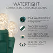G12 Commercial LED String Lights, Warm White, Green Wire