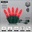 M5 Commercial LED String Lights, Red, Green Wire