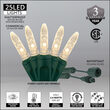 M5 Commercial LED String Lights, Warm White, Green Wire