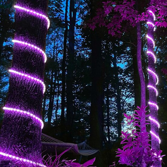 18' Purple Rope Light, 120 Volt, 1/2"
