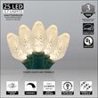 17' C7 LED String Lights, Warm White, Green Wire