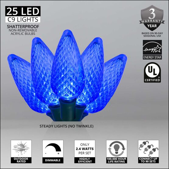 17' C9 LED String Lights, Blue, Green Wire