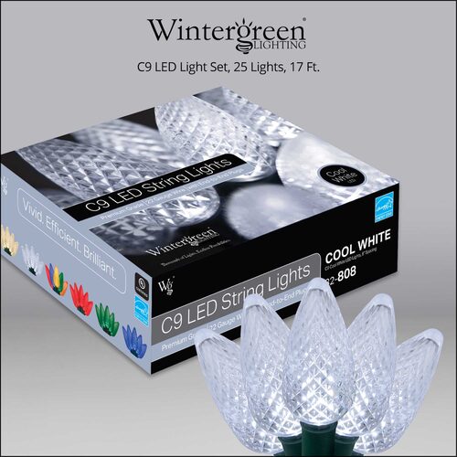 17' C9 LED String Lights, Cool White, Green Wire
