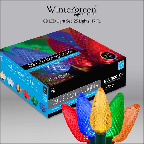 17' C9 LED String Lights, Multicolor, Green Wire