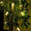 17' C9 LED String Lights, Warm White, Green Wire