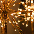 10" Gold Starburst LED Lighted Branches, Warm White Lights, 3 pc