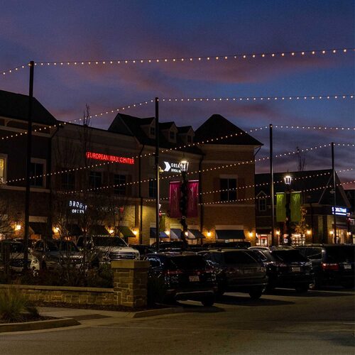 10' Patio String Light Set, 10 Warm White G50 FlexFilament TM LED Shatterproof Bulbs, Black Wire