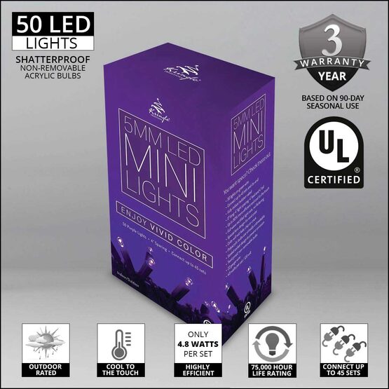 Purple Halloween String Lights, 50 ct, LED Mini