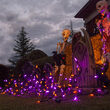 70 M5 Halloween LED Icicle Lights, Purple/Amber, Black Wire