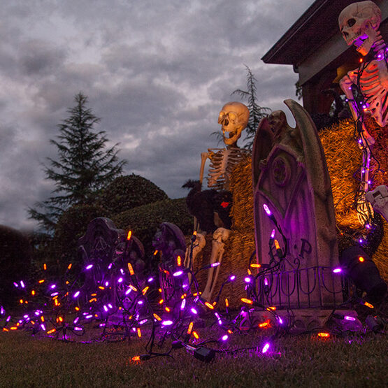 70 M5 Halloween LED Icicle Lights, Purple/Amber, Black Wire