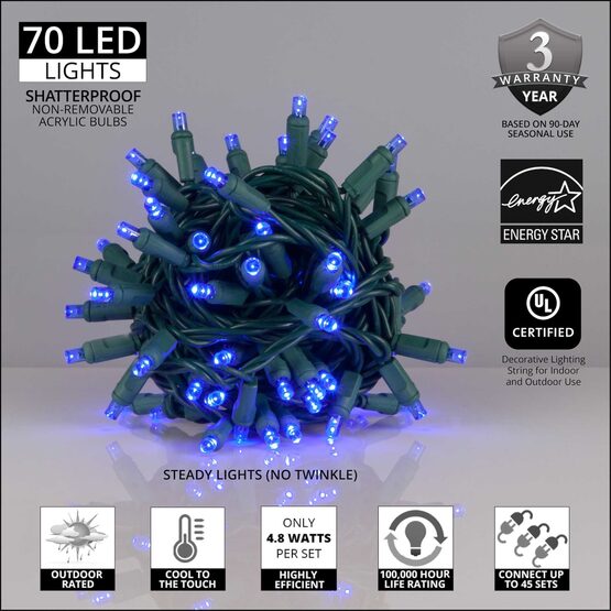 24' Wide Angle LED Mini Lights, Blue, Green Wire