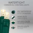 WeatherPro TM Water-Tight 5mm Commercial LED String Lights, Warm White, Green Wire