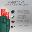 WeatherPRO TM 5mm Commercial LED String Lights, Red, Green Wire