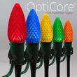 OptiCore C9 LED Walkway Lights, Multicolor, 25', 5" PathPRO Stakes