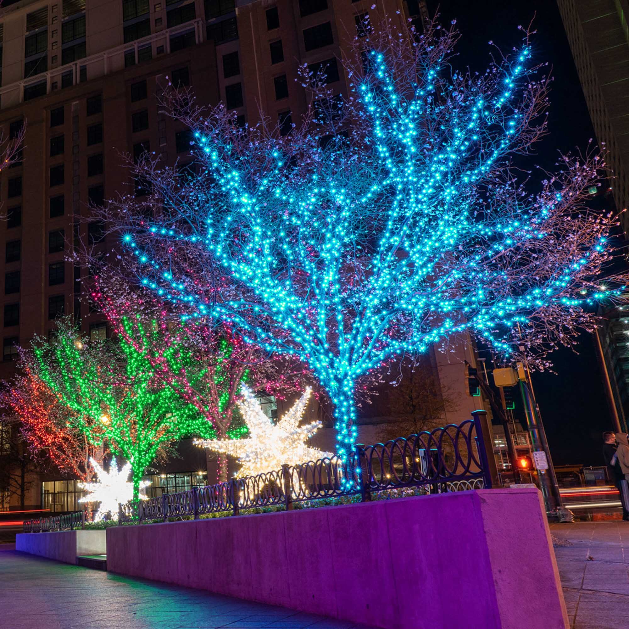 Petit Roulet「 City Lights 」 71JVJjUcS2L._AC_UF894,