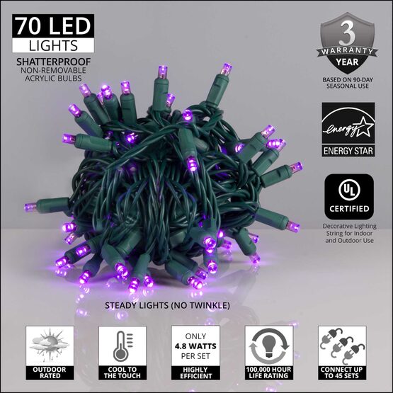 24' Wide Angle LED Mini Lights, Purple, Green Wire