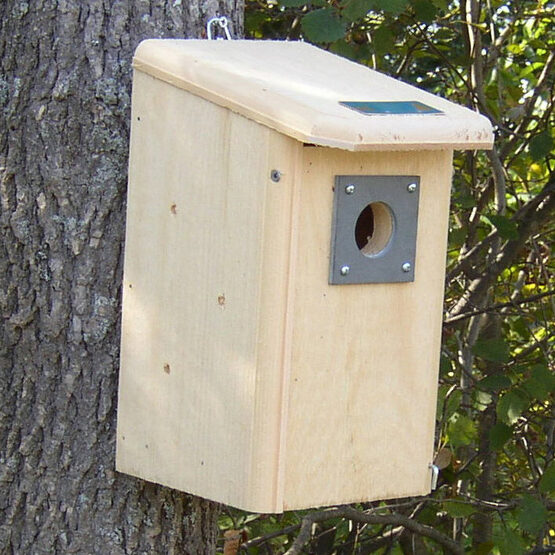 Backyard Wooden Birdhouse