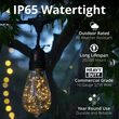 15' Commercial Patio String Light Set, 10 Warm White ST64 LEDimagine TM Fairy Light Bulbs, Suspended, Black Wire
