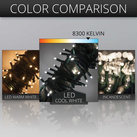 Cool White Outdoor LED String Lights, 50 ct, 4" Spacing, 5MM