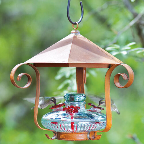 Bloom Hummingbird Feeder with Shelter - Yard Envy